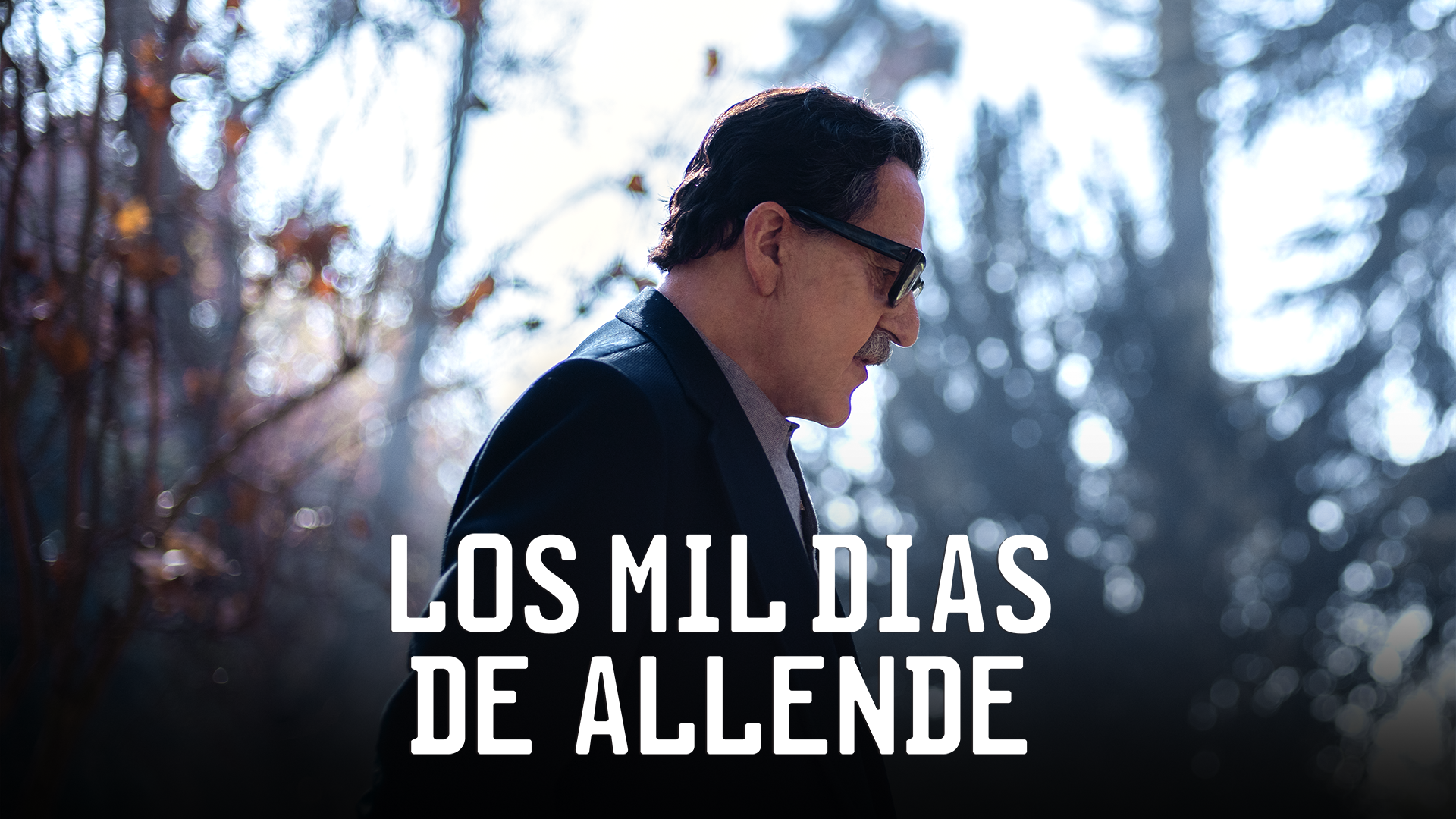 Los mil días de Allende